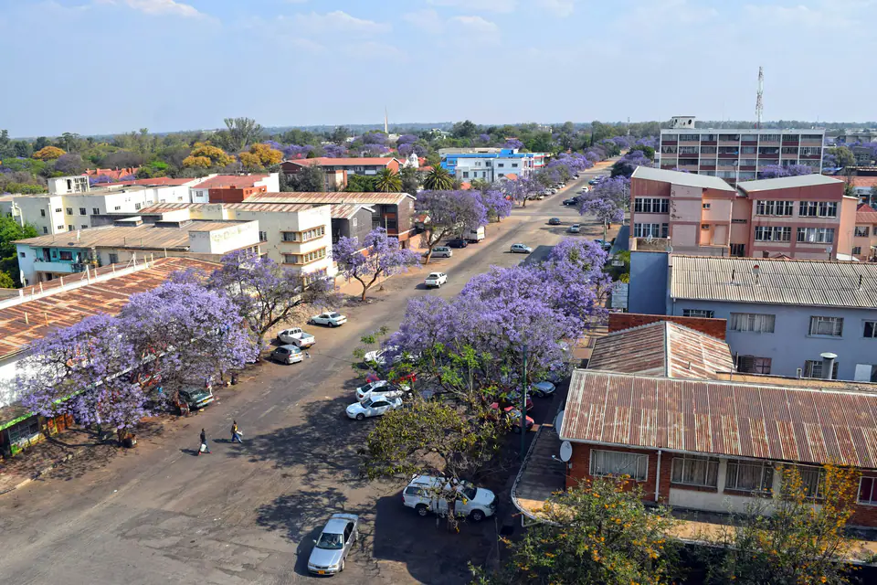 Aerial view of a Bulawayo street lined with purple jacaranda trees