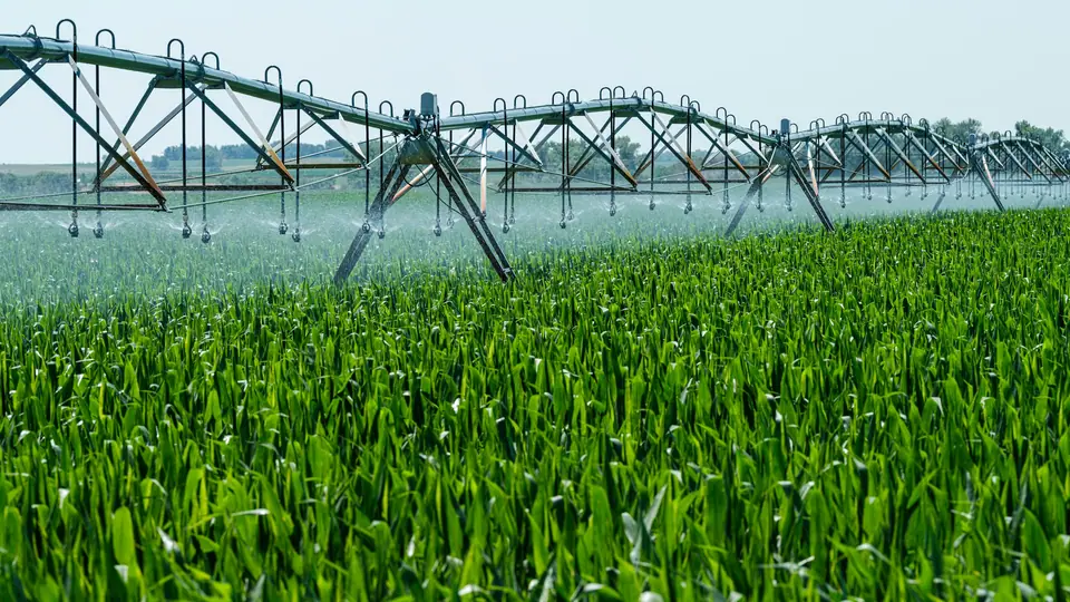 Centre-pivot irrigation over a green maize field