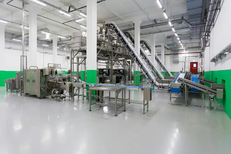 Clean food processing plant with stainless conveyors